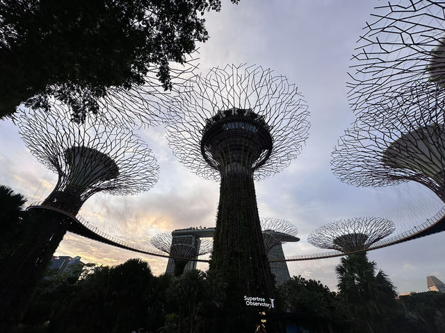 Gardens by the Bay: A Futuristic Oasis in the Heart of Singapore