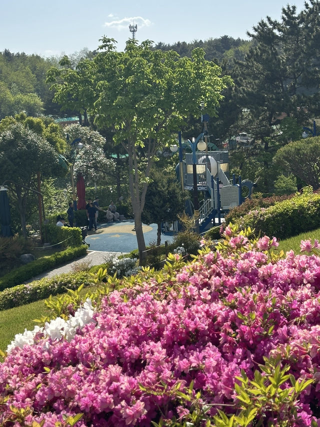 🏝️아름다운 야자수와 꽃들, 휴양지감성의 강원도 삼척 명소 여행가이드추천 💐