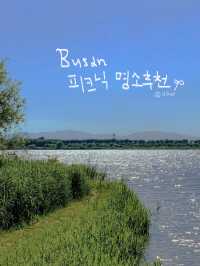 오월은 피크닉 계절: 부산 피크믹