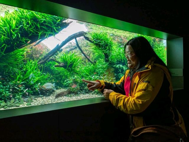 ยก Aquarium มาไว้บนตึกบนใจกลางเมือง Sapporo 