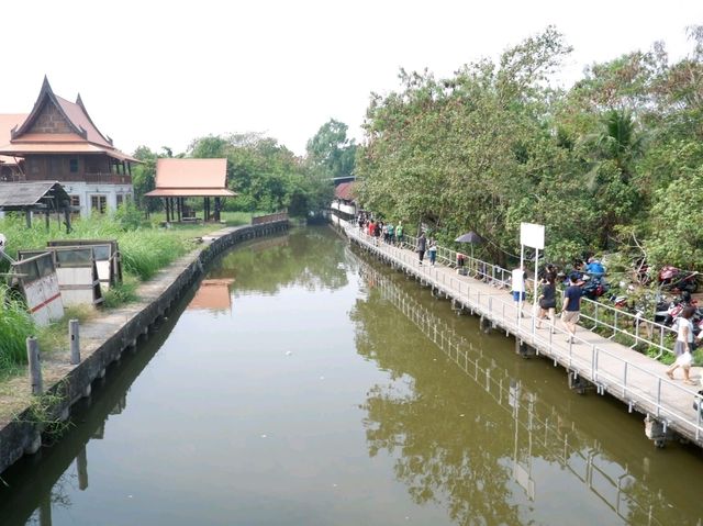 นำเที่ยว ตลาดน้ำบางน้ำผึ้ง ใกล้กรุง