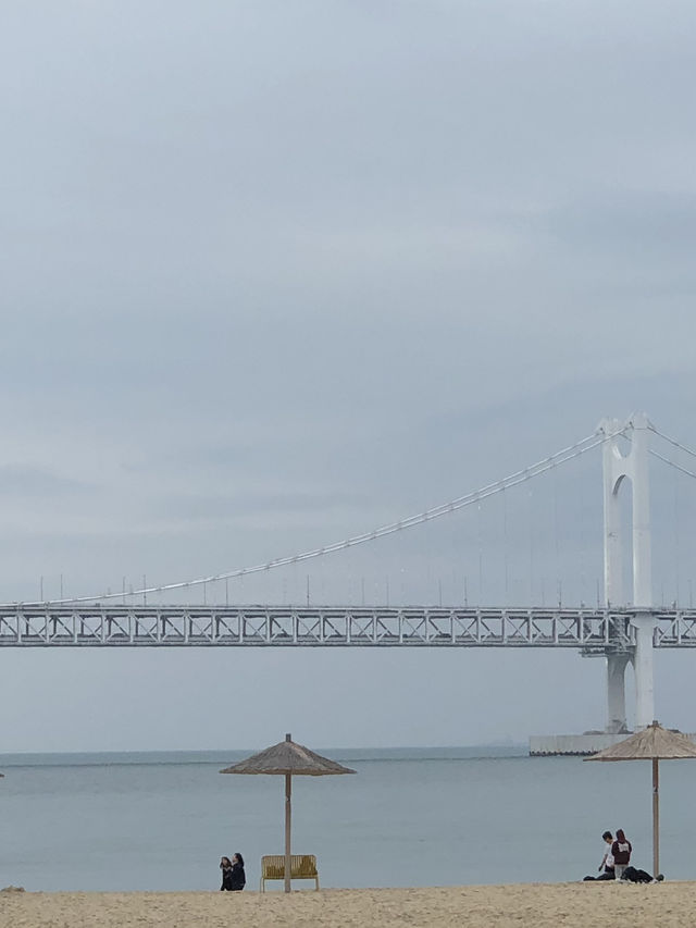 부산 광안리에서 반드시 먹어야 할 한 끼! 초필살돼지구이