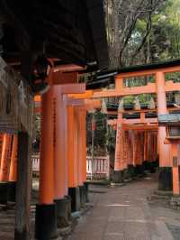 Fushimi Inari Taisha, Kyoto, Japan 🇯🇵 