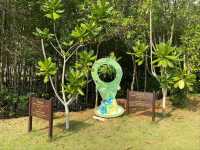 เที่ยวป่าชายเลน อุทยานแห่งชาติหมู่เกาะชุมพร 