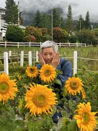 馬來西亞沙巴神山Mt. Kinabalu自由行