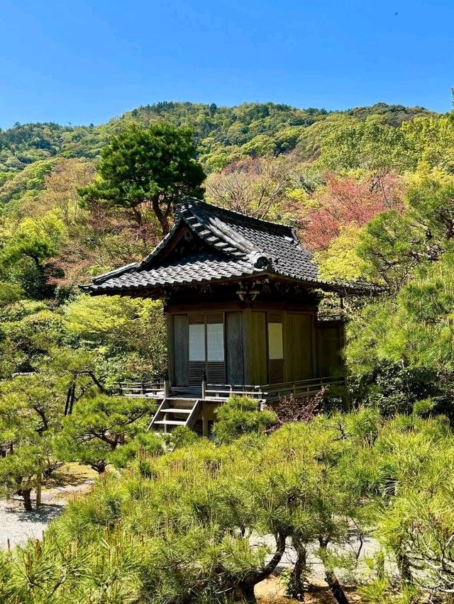 A Hidden Gem in Arashiyama