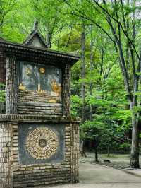 A Quirky Escape to Sangso-dong Forest Bathing Area