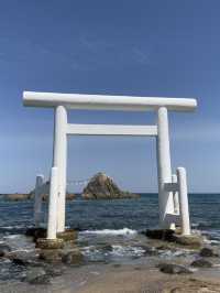 福岡5日4夜之行