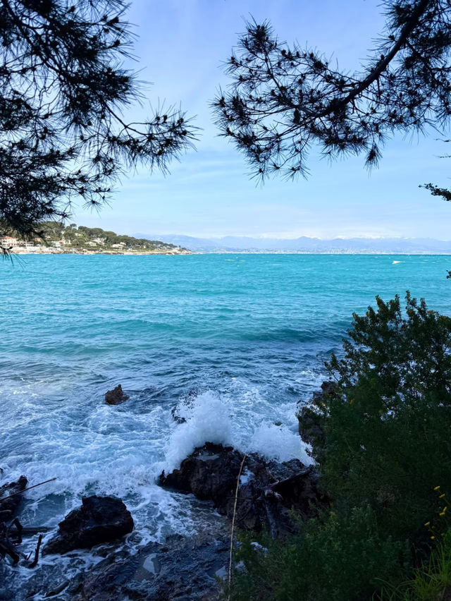 South of France in Late March to Early April: The Perfect Time to Visit 🌞
