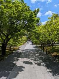 【京都】新緑の京都を楽しむ 青紅葉が美しい南禅寺から