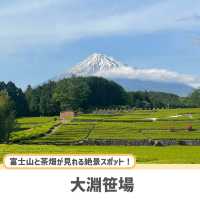 【静岡】ここだけは押さえたい人気観光スポット5選✨