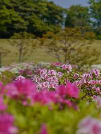 Commemorative Park