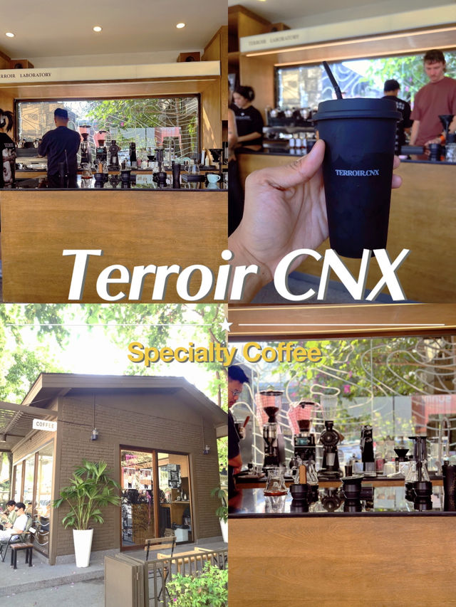 Terroir CNX – จิบกาแฟสไตล์คอกาแฟ ☕️