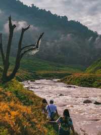 เขื่อนขุนด่านปราการชล นครนายก