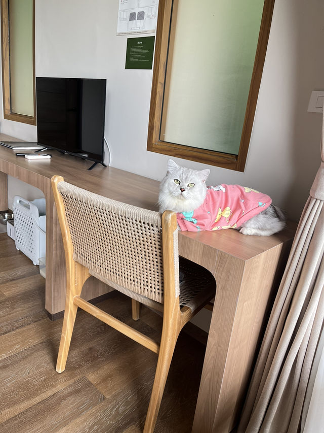 Resolution  Koh Chang Pet Friendly Hotel !