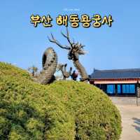 부산 바다 코앞 사찰! [부산여행지🌊🎋]