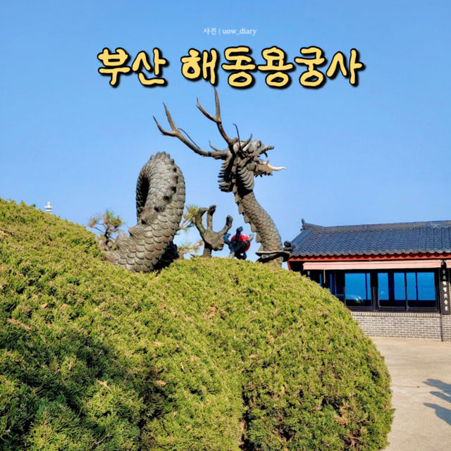 부산 바다 코앞 사찰! [부산여행지🌊🎋]