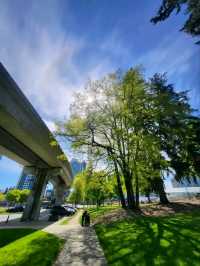 Surrey Stories – Nature Trails, Culture, and City Spirit