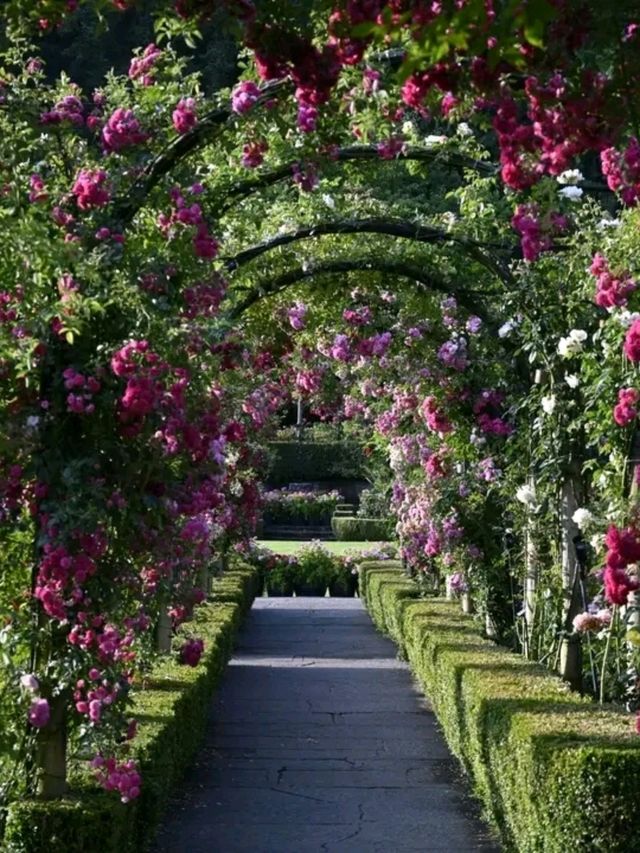 Butchart Gardens – A Garden That Stays in Your Heart