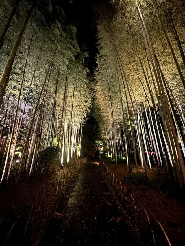 魅力だらけの静岡県