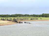 เหมือนอยู่นิวซีแลนด์ แต่ใกล้แค่ลพบุรี
