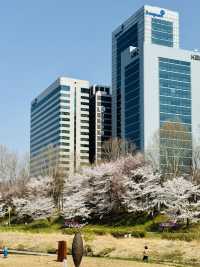 A Pleasant Stroll Along Yangjaecheon-gil