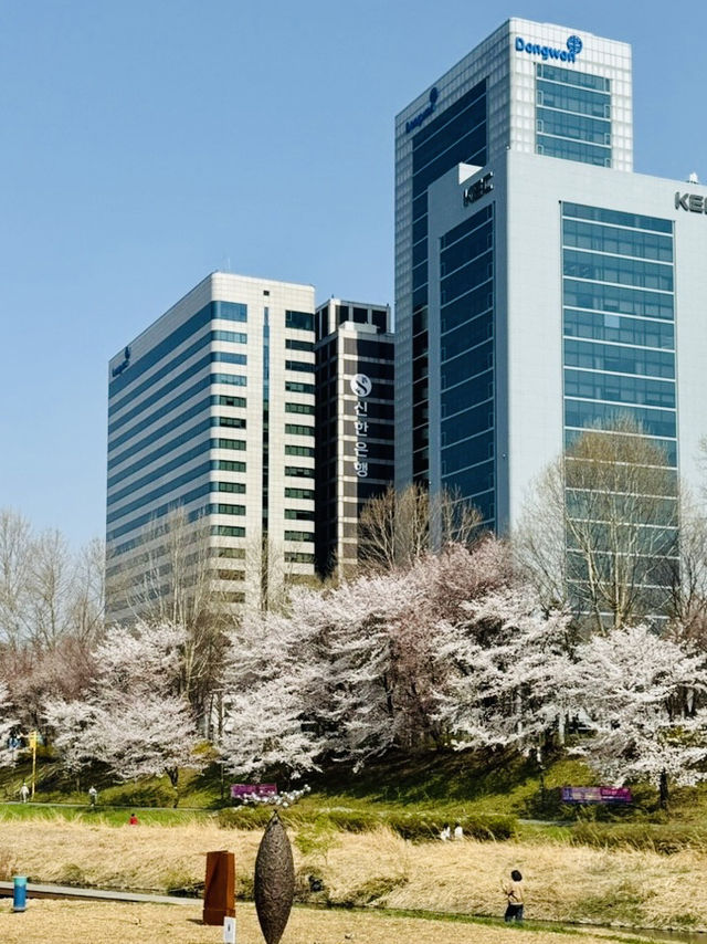 A Pleasant Stroll Along Yangjaecheon-gil