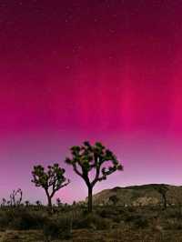 Iconic Views from Keys View: Joshua Tree’s Must-See Landmark