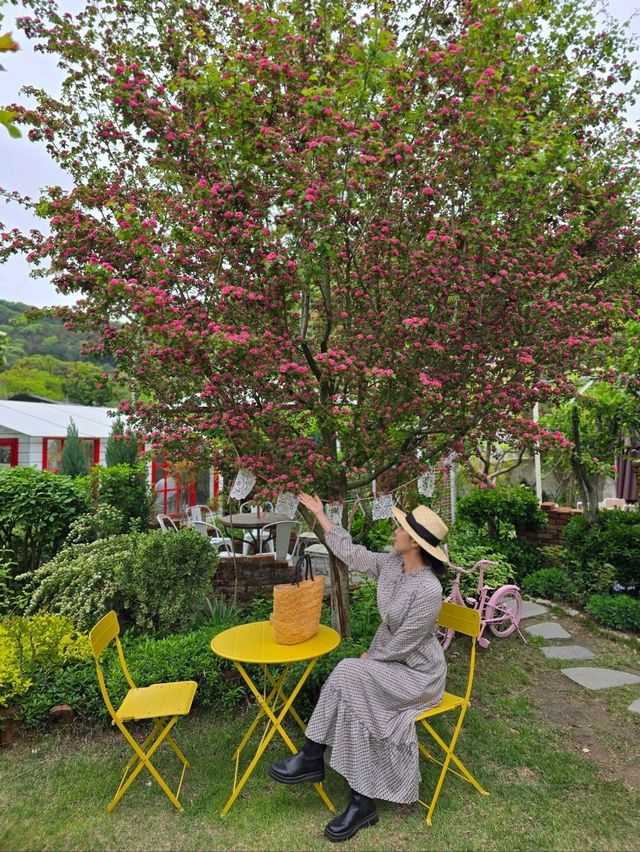 숨겨진 보석같은 공주 정원카페🌹
