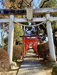 A Nature-Filled Day in Tatebayashi – Flowers, Shrines & Stillness