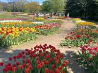 America’s Front Yard: National Mall & Memorial Parks