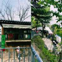 자연과 어우러진 평화로운 장성 산책