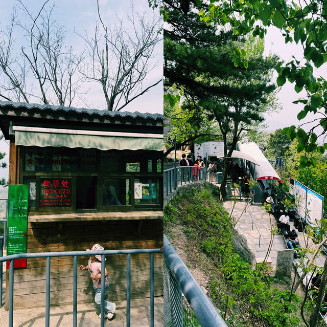 자연과 어우러진 평화로운 장성 산책