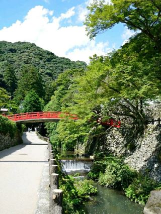 Meiji no Mori Minoh Quasi-National Park – Nature’s Calm Just Outside Osaka