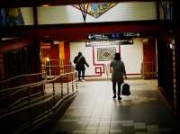 NYC Subway: The Pulse Beneath the City