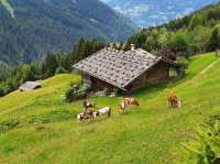 🇦🇹 Top Cities to Explore in Austria