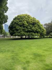 【東京都🇯🇵 迎賓館赤坂離宮】華やかな外交活動の場☺️国宝にもなってます。