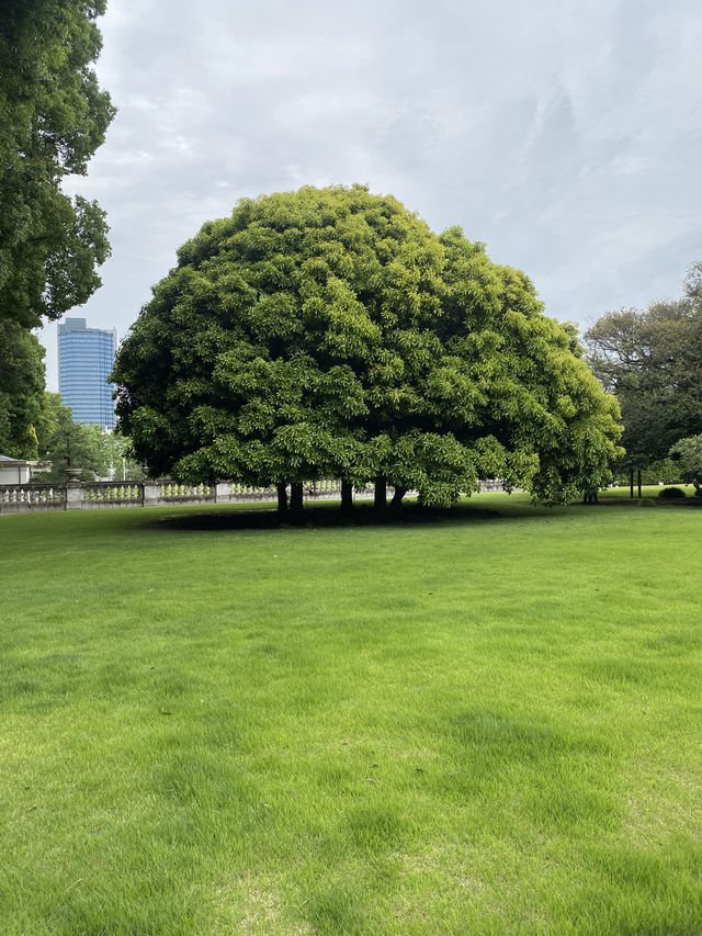 【東京都🇯🇵 迎賓館赤坂離宮】華やかな外交活動の場☺️国宝にもなってます。