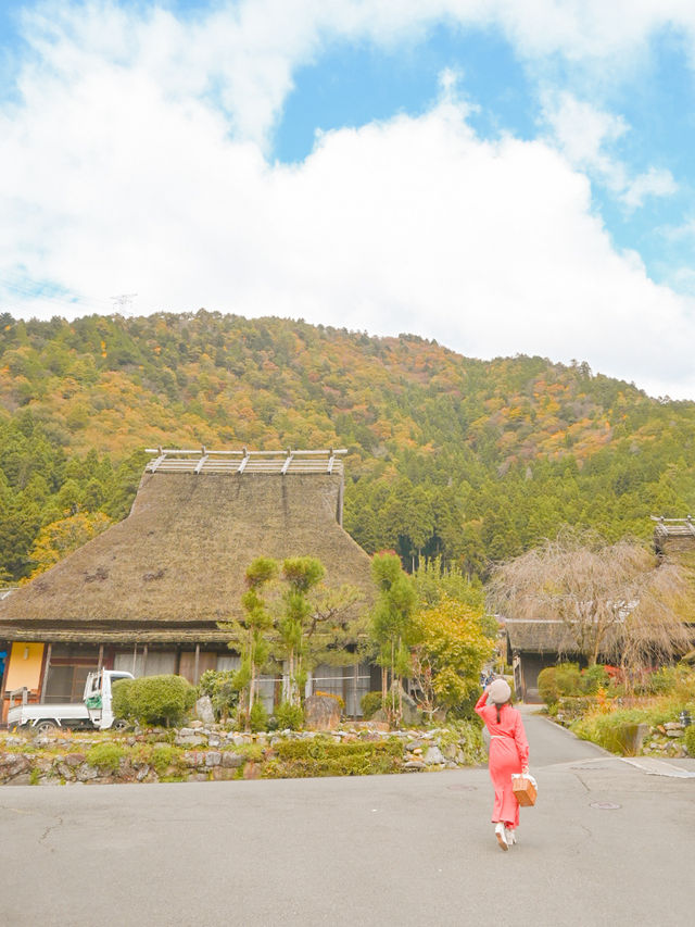 秋の美山さんぽ 🐿🌰🍊🍐🍇 📷🍂🍁