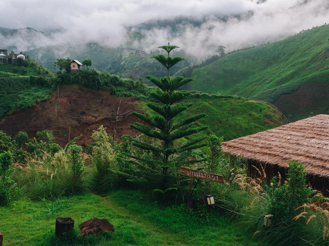 ที่พักน่านหน้าฝนระหว่างทางบ้านสะปัน-ห้วยโทน🌿