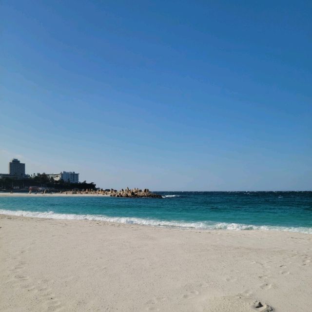 【白浜】喫茶ルナ