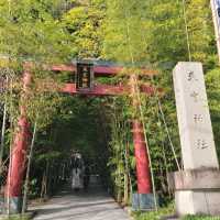 【熱海】来宮神社