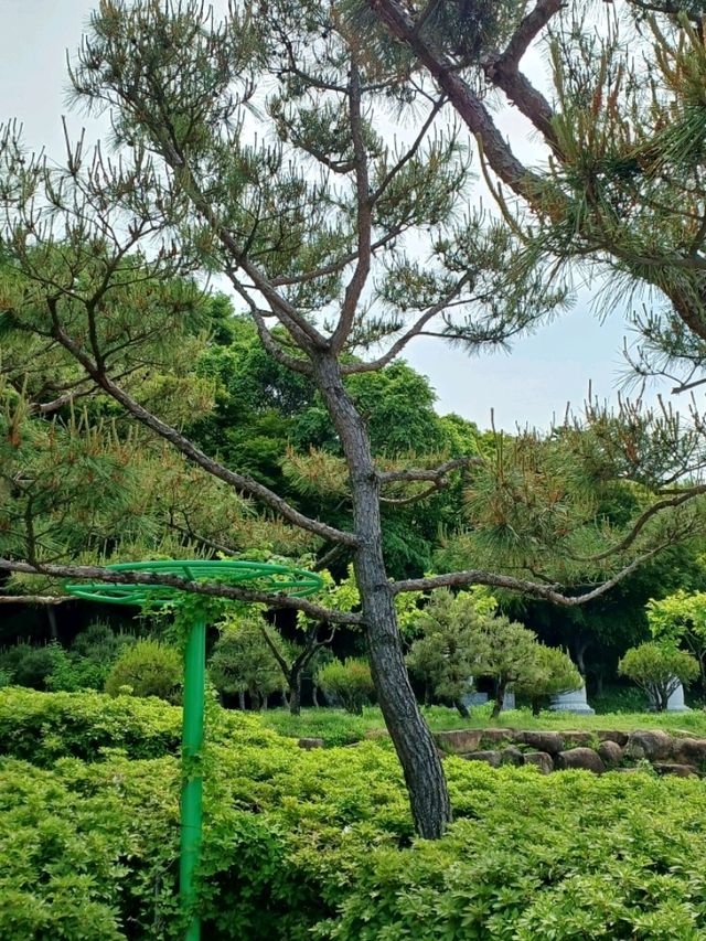 불국사 돌계단에서 느끼는 ‘지금 이 순간’