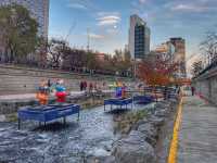 A Calm Escape with a Story: Walking Through Seoul’s Living History
