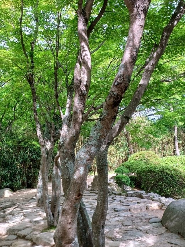 불국사에서 펼쳐지는 아이의 상상력