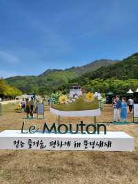 가볍게 걷기 좋았던 봄날의 문경여행
