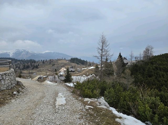 Velika planina