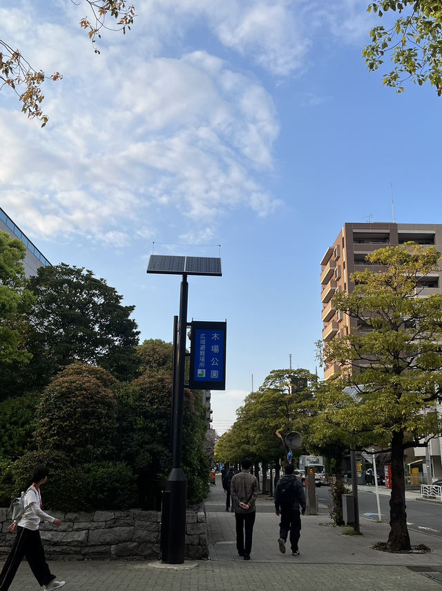 🌿**【木場公園】 東京のまんなかで深呼吸。自然とアートにふれる緑の楽園**