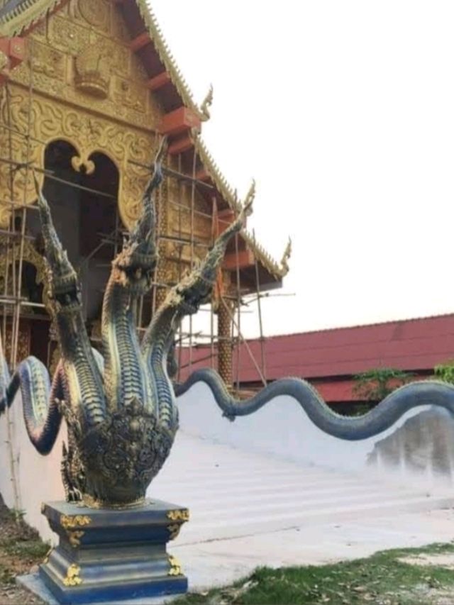 "วัดแม่ทาน" 