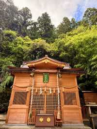 京都｜800年歷史53公尺高大杉木 由岐神社的鎮邪傳說